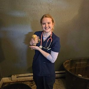 Alex - female wearing blue scrubs holding a duck