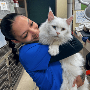 Team member Ariana with large white cat