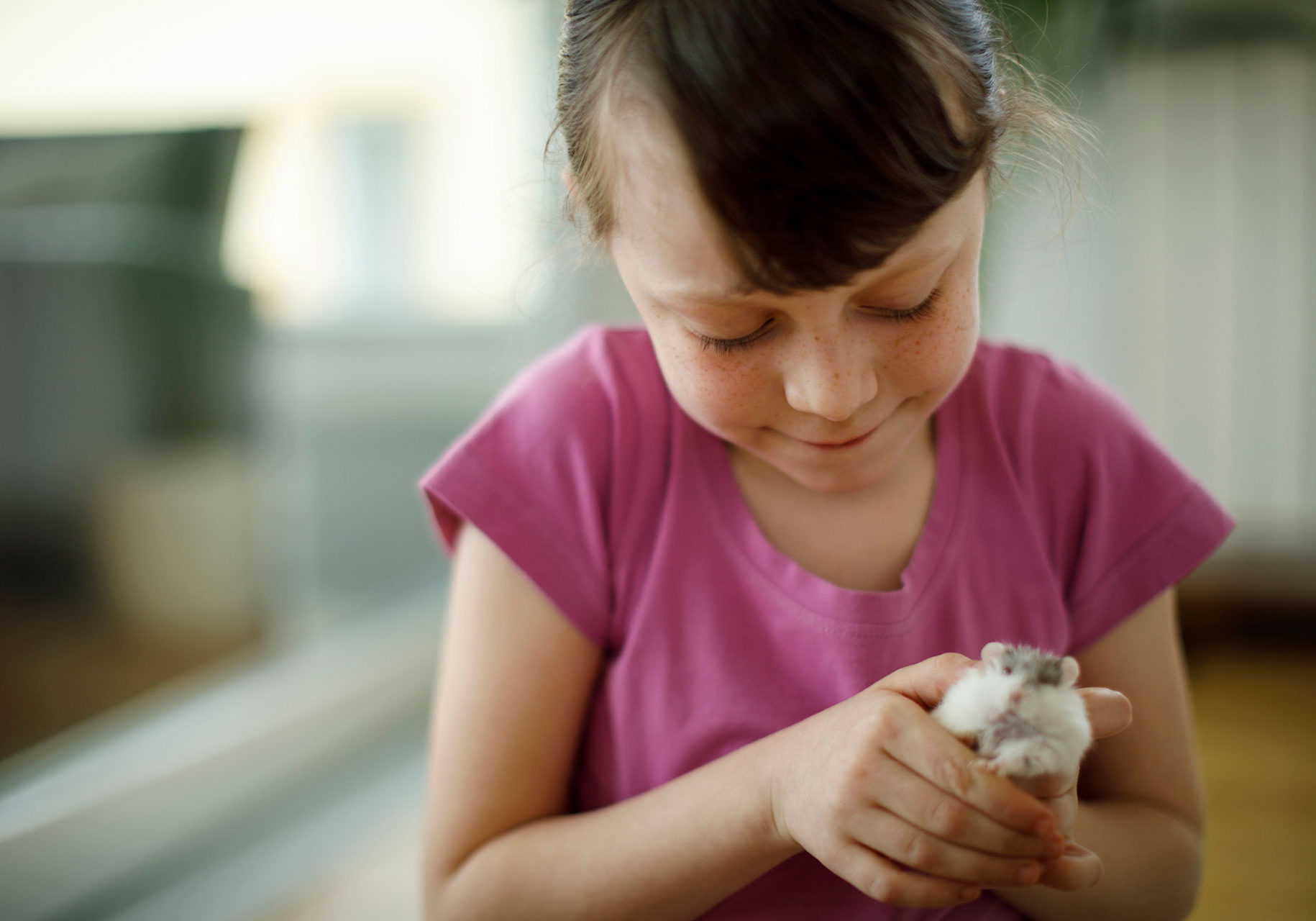 Child With Hamster