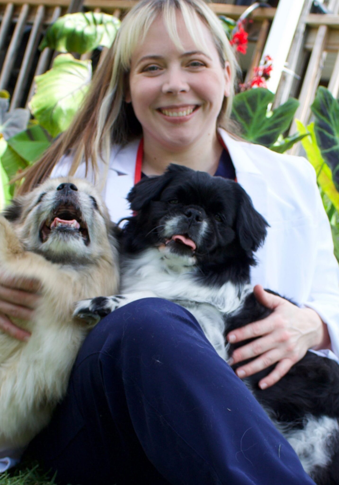 Dr Erin Stephens - female veterinarian wearing white lab coat sitting outside with 2 small dogs on her lap