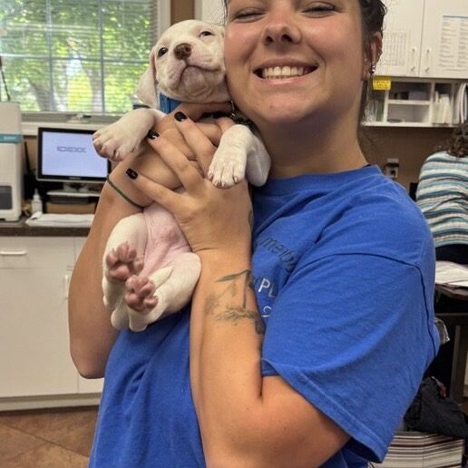 picture of woman holding puppy